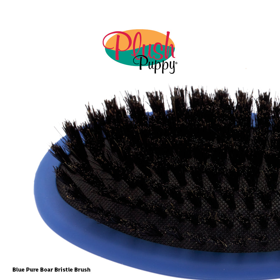 Blue Pure Bristle Brush