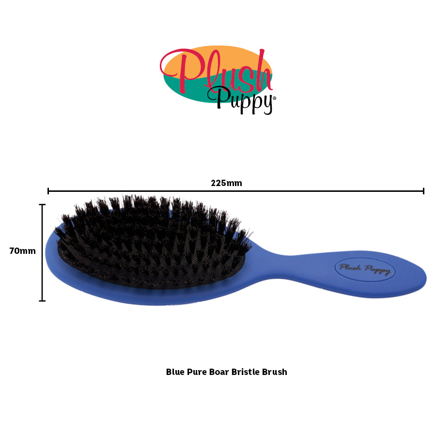 Blue Pure Bristle Brush