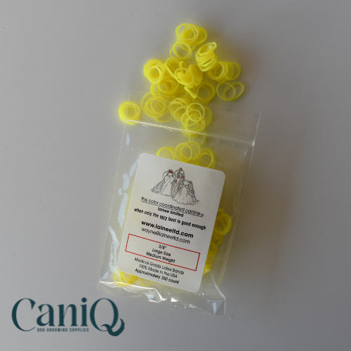 Latex Bands - Large Medium