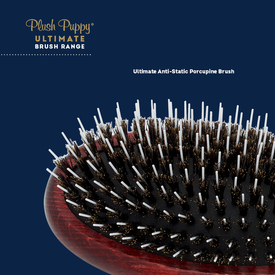 Ultimate Anti-Static Brush